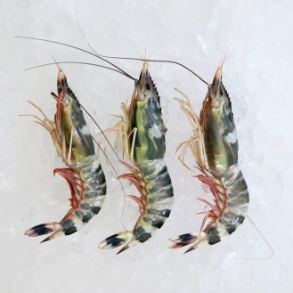 Rainbow Prawns per kg [SEASONAL]