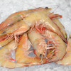 Red Big Prawn XL (红大虾) per kg
