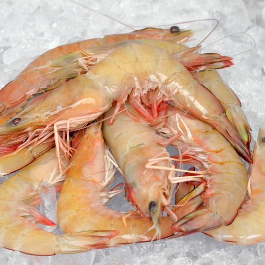 Red Big Prawn XL (红大虾) per kg