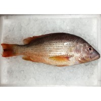 Deep Sea Snapper (上红皂) per kg [SEASONAL]
