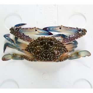 Flower Crab (大市) per kg