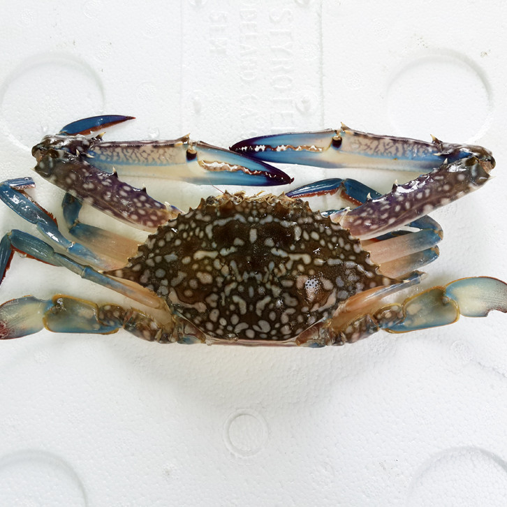 Flower Crab (大市) per kg
