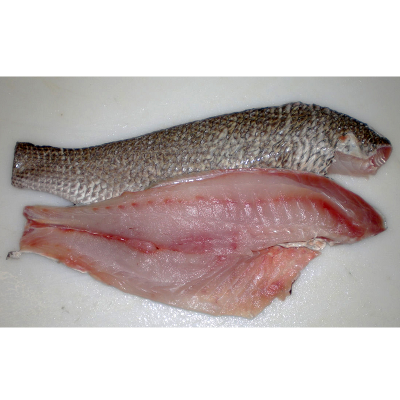 Golden Snapper Fillet per kg