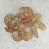 Peeled Red Big Prawn XL (红大虾) 250gm+-
