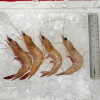 Red Big Prawn L (红大虾) per kg