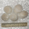 Hokkaido Sea Scallops (扇贝) 250gm+-