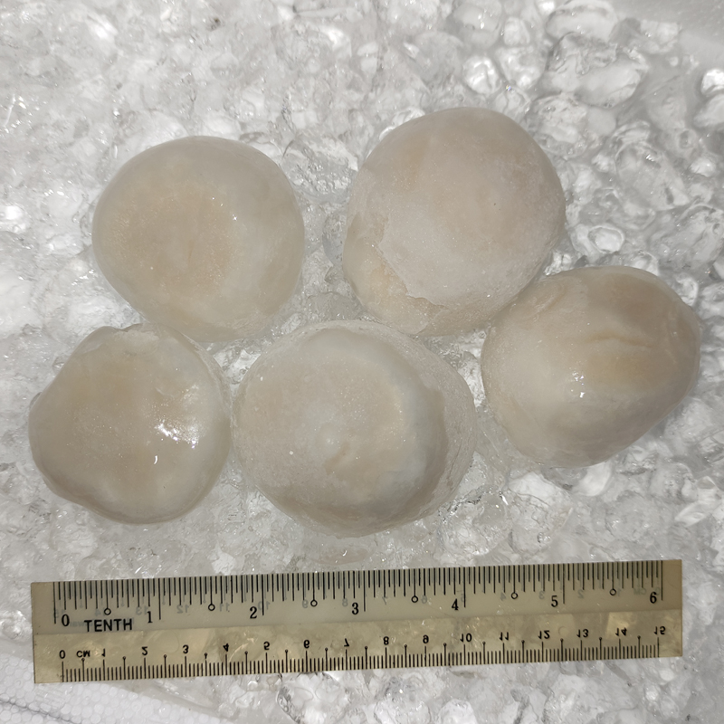 Hokkaido Sea Scallops (扇贝) 250gm+-