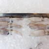 Squid M / Sotong Putih (沙中) per kg